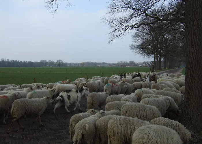 Erfgoed & Logies Den Heijkant