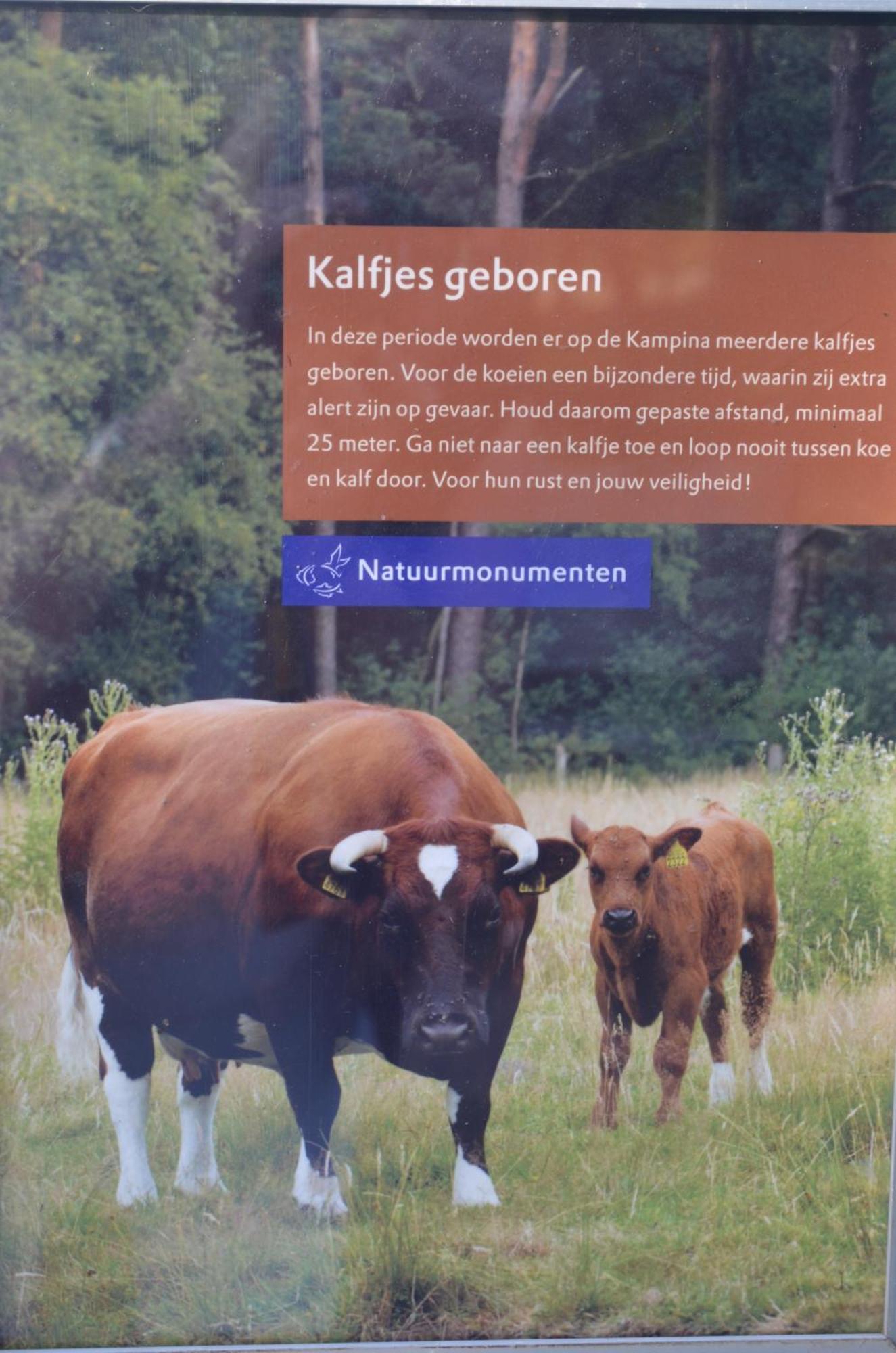 Erfgoed & Logies Den Heijkant Bed & Breakfast 3*