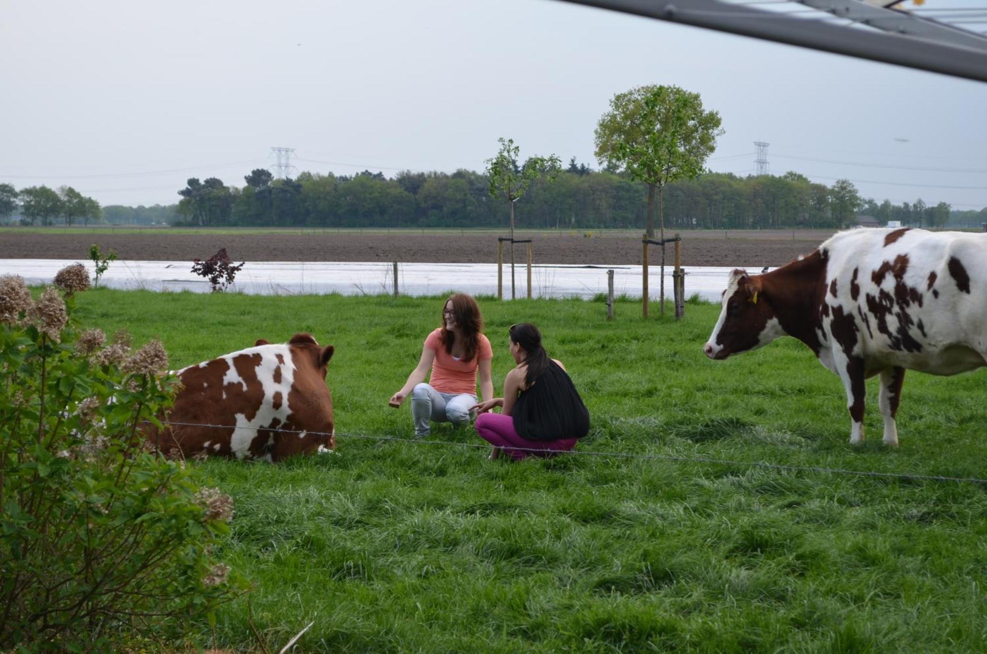 Erfgoed & Logies Den Heijkant Bed & Breakfast